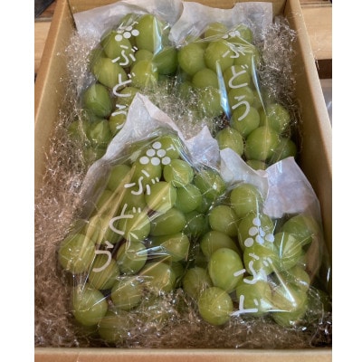 ã2026幎å€çºéãå
è¡åä» æ¬ã®ã·ã£ã€ã³ãã¹ã«ããè©°ãåããçŽ1.8ãã(åæå±±çæ©æ¬åžç£)ãé
éäžå¯å°åïŒé¢å³¶ãã1515363ã