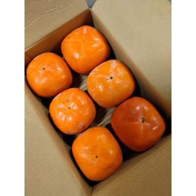 紀の川柿(訳あり品)12〜15個入り【1393921】