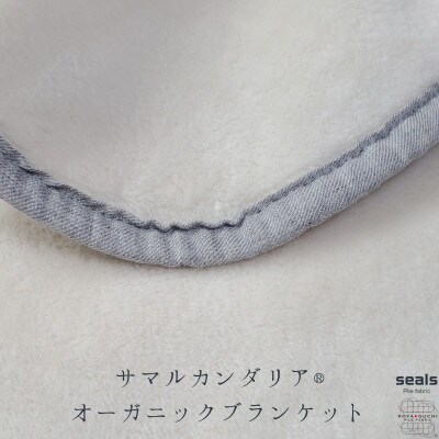 サマルカンダリア　オーガニック綿毛布　シングル　ナチュラル・ブルー 140cm×200cm【1583845】