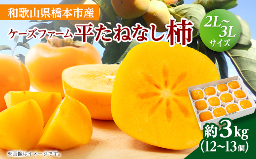 ケーズファーム　平たねなし柿　12〜13個入　2L〜3Lサイズ【1147921】