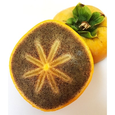 【2026年10月以降発送】あさみ農園の紀の川柿　11〜15個【1073823】