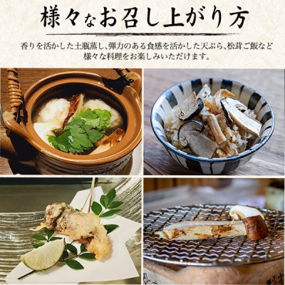 åœç£ã倩ç¶é«éæŸèžãçŽ200g 2026幎åºè·ãé
éäžå¯å°åïŒé¢å³¶ã»åæµ·éã»æ²çžçãã1601023ã