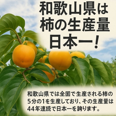 柿【先行受付】柳フルーツ園 富有柿 約2kg【1456563】