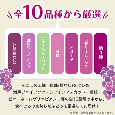 【2026年・発送】朝どり完熟ぶどうの詰め合わせ【配送不可地域：離島・沖縄県】【1017700】
