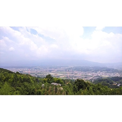 国城観光農園の富有柿9個入り(3Lサイズ)【配送不可地域：北海道・沖縄県】【1110576】