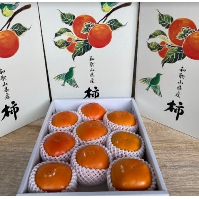 【先行受付　2026年11月以降順次発送】紀州てまり　4Lサイズ【1508724】