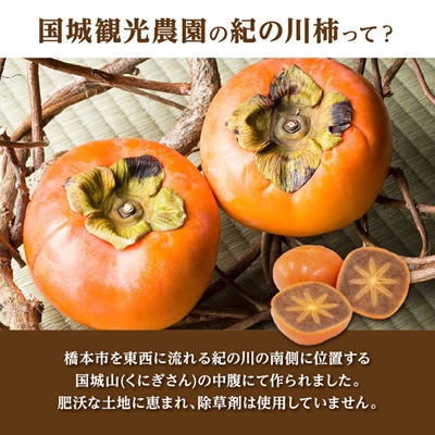 åœå芳å
蟲åã®çŽã®å·æ¿11ã12å(2Lã3Lãµã€ãº)ã1077105ã