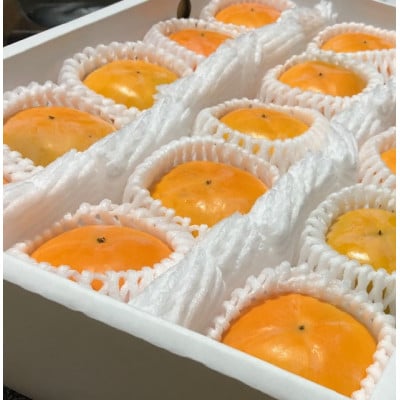 【先行受付】贈答用　たねなし柿　3kg【1519944】