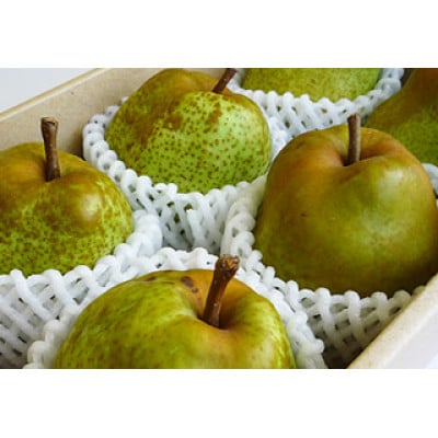 çŽå·è²ã¡ã®ã©ã»ãã©ã³ã¹ 1.8kgå
¥ããé
éäžå¯å°åïŒé¢å³¶ã»åæµ·éã»æ²çžçãã1497396ã