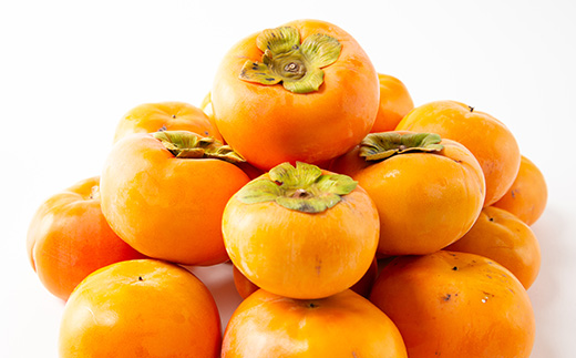 æ¿ãå
è¡åä»ãæ³ãã«ãŒãå(èš³ãã)å¯ææ¿ çŽ10kgã1457253ã