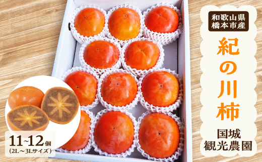 国城観光農園の紀の川柿11〜12個(2L〜3Lサイズ)【1077105】