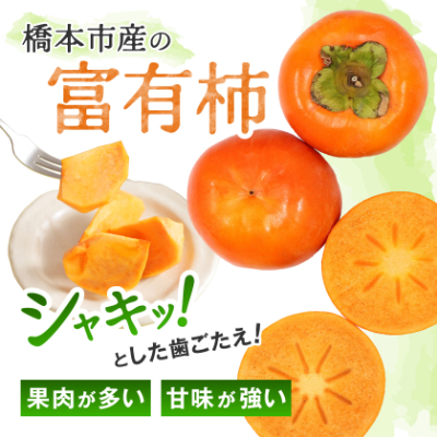 ケーズファーム　富有柿　M　14個程度(約2.8kg)【1135662】