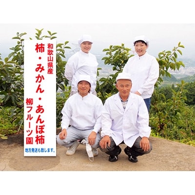 【先行受付】柳フルーツ園 大玉みかん 約5kg Lサイズ【1077825】