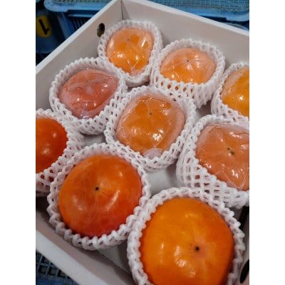 柿の食べ比べセット　9個入り(2L〜3L)【1392507】