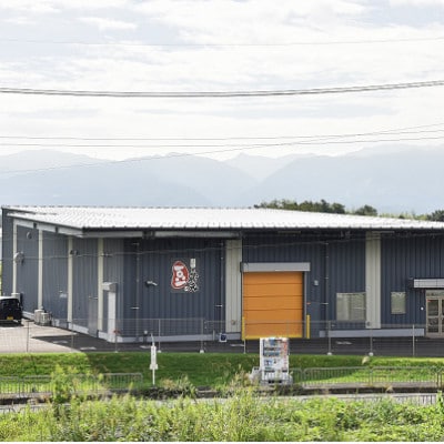 豆の蔵元人気製品詰め合わせ　橋本市Bセット【1150158】