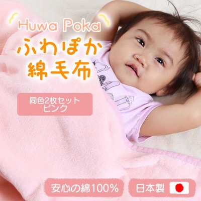 【同色2枚セット】ふわぽか 綿毛布 ピンク 100×140cm 日本製 綿100% 毛布【1607524】