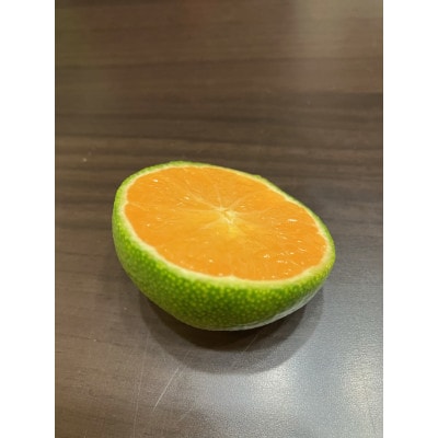 【先行受付】和歌山県産温州みかん　5kg　わけあり品【1549547】