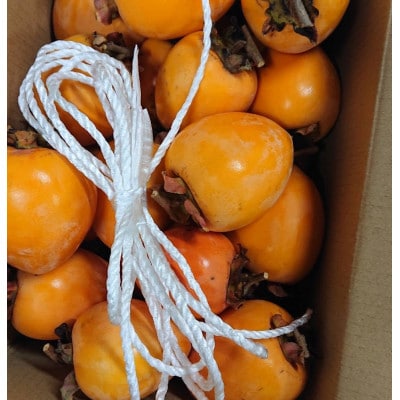 吊るし柿・干し柿用生渋柿(蜂屋柿)23〜35個入り【1281410】