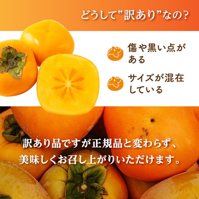【2026年度発送分】国城観光農園のたねなし柿(家庭用・訳あり)約7.5kg【1143474】