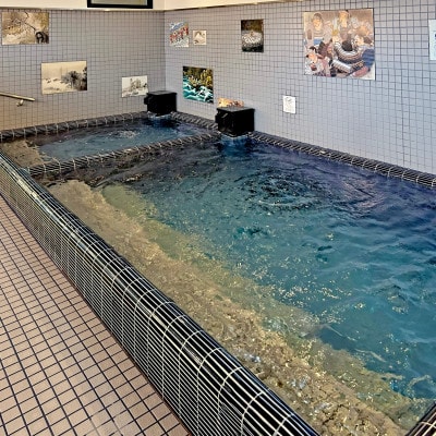 高野口乃湯 入浴券 10 枚セット【1650229】