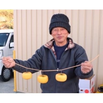 柳フルーツ園の干し柿セット 約7kg【1457277】