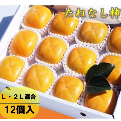 【先行受付】柳フルーツ園のたねなし柿【1021100】