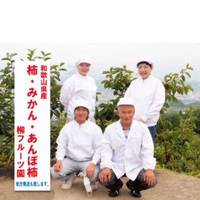 柿【先行受付】柳フルーツ園 たねなし柿 約2kg【1430450】