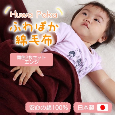 【同色2枚セット】ふわぽか 綿毛布 エンジ 100×140cm 日本製 綿100% 毛布【1607530】