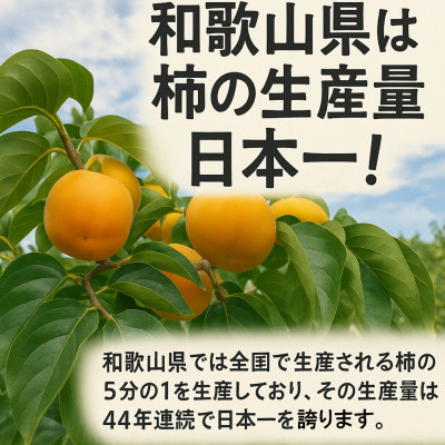 柿【先行予約】 たねなし柿 約10kg　【2026年9月以降配送】柳フルーツ園【1430469】