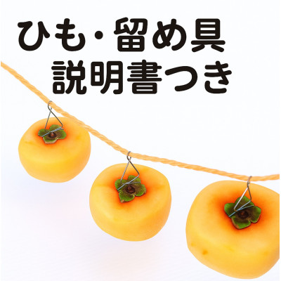 柳フルーツ園の干し柿セット 約10kg【2025年秋冬配送】【1457279】