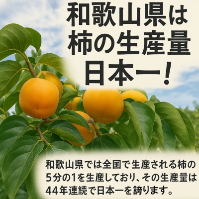 柿【先行受付】柳フルーツ園(訳あり)たねなし柿 約7.5kg【1077001】