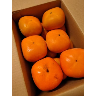 たねなし柿(訳あり品)12〜15個入り【1393923】