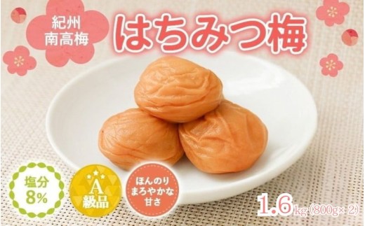 紀州南高梅　はちみつ入まろやか特選梅（塩分約8％）1.6kg （800g×2） / 田辺市 紀州南高梅 南高梅 梅干し 梅干 梅 うめ 肉厚 お米 おにぎり 焼酎 梅酒 健康 はちみつ入り はちみつ梅 和歌山県【mry025】