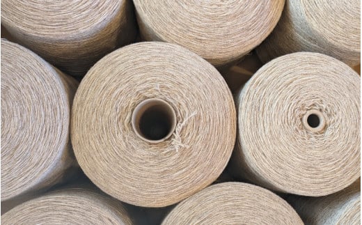 【ご予約】日本産 羊の糸 約100g×1かせ ※2025年10月頃から順次配送 / 毛糸 手芸 編み物 羊 ひつじ 糸 和歌山 本宮 【tsg001】