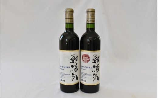 動鳴気ワイン 2本セット 720ml×2本 / 田辺市 赤ワイン 葡萄酒 お酒 アルコール 宅飲み 家飲み 甲斐ノワール フランス産 オーク樽仕込み ギフト プレゼント 贈り物 贈答 お祝い 記念日 誕生日 ディナー パーティー ご褒美 日本ワイン 国産【kkb011】