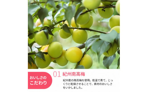 和歌山県産 ドライフルーツ  紀州南高梅  20g×2袋 / 南高梅 梅 うめ ウメ おやつ 小腹 お菓子 健康【kng021】