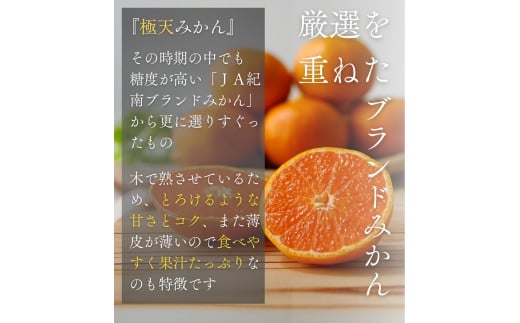 ＪＡ紀南ブランド　農家自慢の「極天みかん(木熟)」 3kg (Sサイズ) ※12月中旬～順次発送予定【期間限定・先行予約・11/30まで】  / 田辺市 温州みかん みかん ミカン 木熟みかん【jam004】