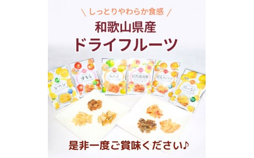 和歌山県産 ドライフルーツ  はっさく  20g×2袋 / 八朔 柑橘 おやつ 小腹 お菓子 健康 和歌山 和歌山県【kng019】