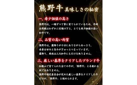 ＜熊野牛＞ヒレステーキ　約120g×2枚 / 和歌山 田辺市 本宮 肉 牛肉 熊野牛 和牛 ヒレ ステーキ 豪華 冷凍 ギフト 贈答【hcy010】