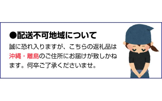 【先行予約】 青梅【紀州南高梅】 3kg（2025年5月～6月以降順次発送予定） / 生梅 梅干し 梅酒 梅ジャム 梅シロップ 産地直送 国産 和歌山 【tcs021】