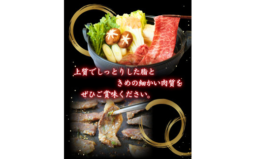 ＜熊野牛＞ヒレステーキ　約120g×2枚 / 和歌山 田辺市 本宮 肉 牛肉 熊野牛 和牛 ヒレ ステーキ 豪華 冷凍 ギフト 贈答【hcy010】