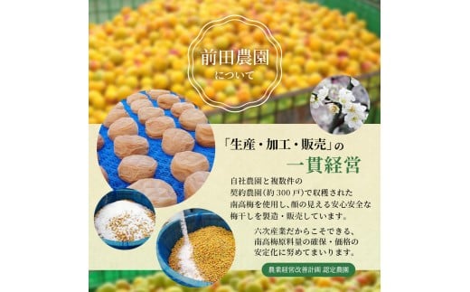  大粒 しそ漬け梅 & はちみつ漬け 食べ比べセット 各400g  塩分10％ 塩分8% / お歳暮 紀州南高梅 訳ありでない 梅干 うめぼし 南高梅 しそ梅 はちみつ はちみつ漬け シソ 紫蘇 国産 梅 うめ ウメ ご飯 和歌山県 田辺市 前田農園 お中元 お歳暮 贈答用 【mae005】