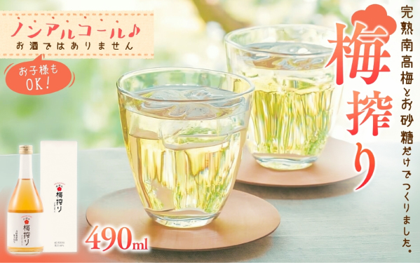 梅搾り（ノンアルコール）490ml / 田辺市 梅干し 梅干 梅 うめ 梅ジュース 炭酸割り 紀州産 南高梅 完熟梅【isg027-1】