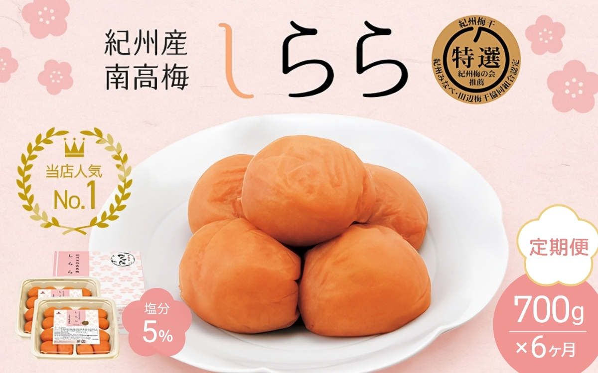 【6カ月定期便】紀州産南高梅 梅干し しらら （塩分5％）700g（350g×2入） / A級品 梅干し 梅干 梅 和歌山 田辺 紀州南高梅 南高梅 うす塩 減塩 塩分控えめ ご飯のお供【nkt016-tk】