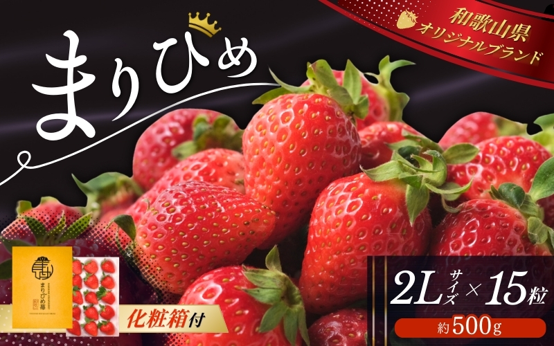 ＼先行予約／ 【化粧箱付き】いちご まりひめ 2Lサイズ 約500g（15粒） 2025年12月頃から順次発送 / いちご 和歌山 果物 フルーツ 野菜 苺 冷蔵 冬 ギフト 贈答 12月 1月 2月 【tcs001】