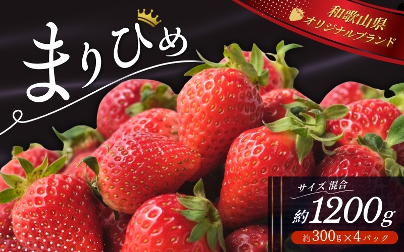＼先行予約／ いちご まりひめ 【ご家庭用】 約300g×4パック M～3Lサイズ （サイズ指定不可） 2025年12月頃から順次発送 / いちご まりひめ 和歌山ブランド イチゴ 和歌山 果物 フルーツ 野菜 苺 冷蔵 冬 家庭用 12月配送 1月配送 2月配送 【tcs003】