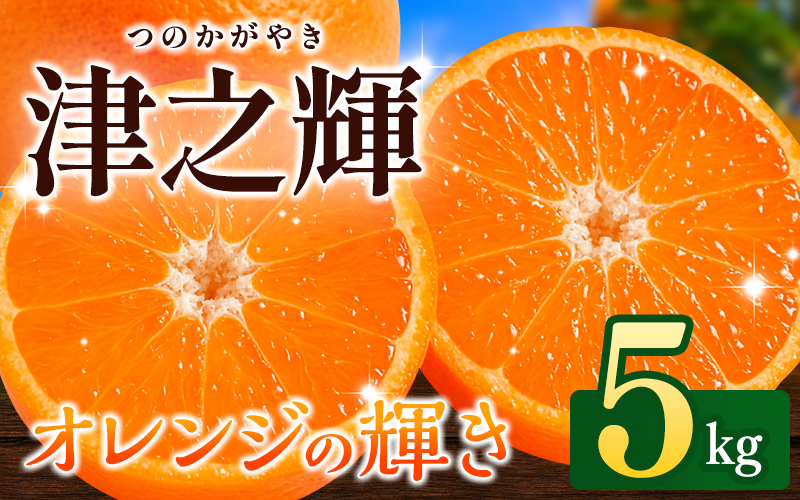 ＼先行予約／ 津の輝（つのかがやき）5kg（2026年2月以降順次発送予定） / みかん 津の輝 柑橘 かんきつ フルーツ 果物 紀州産 和歌山県 田辺市【tcs026】