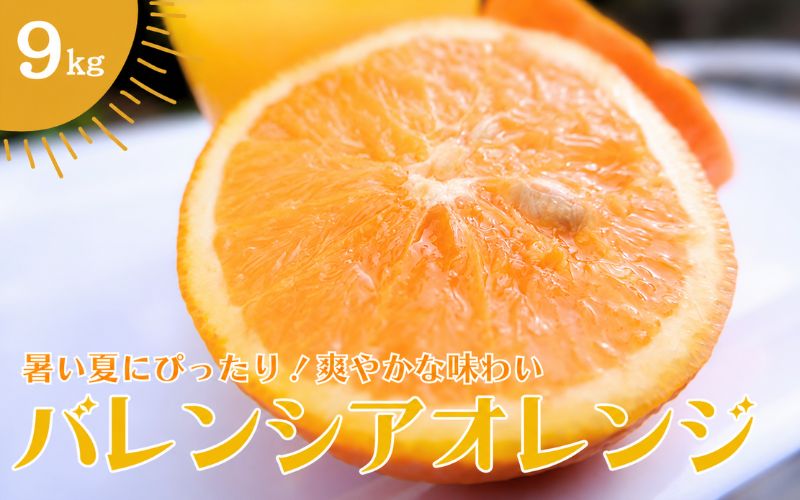 バレンシアオレンジ 9㎏ 【2026年6月下旬頃より順次発送】 / みかん ミカン 蜜柑 バレンシアオレンジ オレンジ 和歌山 田辺市 紀州 くだもの 柑橘 フルーツ 【aoi024】