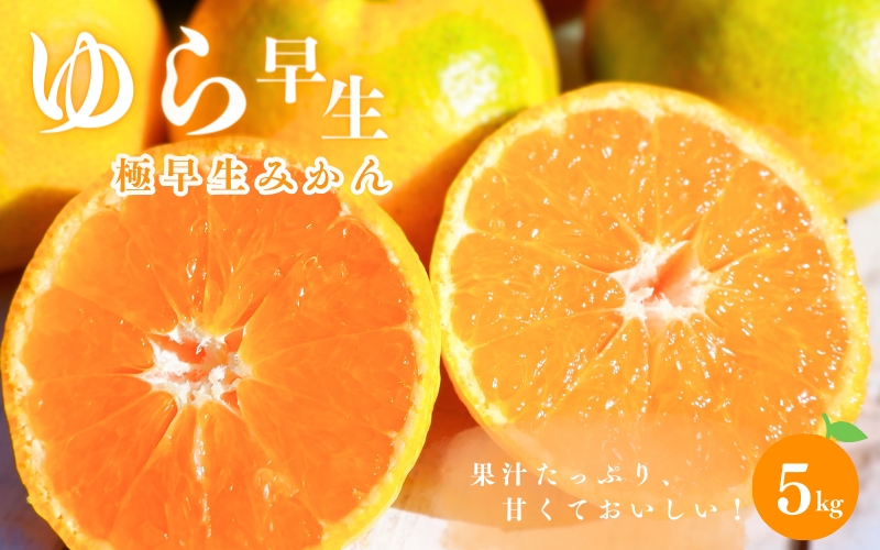 ＼先行予約／ 【秀品】 極早生みかん ゆら早生 5kg（サイズ混合） ※2025年10月より順次発送 / みかん ミカン ゆら早生みかん 蜜柑 和歌山 早生 温州 田辺市 紀州 くだもの 柑橘 フルーツ 【aoi001-1】