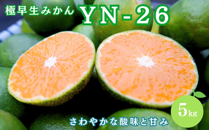 ＼先行予約／ 【秀品】 極早生みかん YN-26 5kg（サイズ混合） ※2025年9月より順次発送 / みかん ミカン 蜜柑 和歌山 早生 極早生 YN-26 温州 田辺市 紀州 くだもの 柑橘 フルーツ 【aoi002-1】